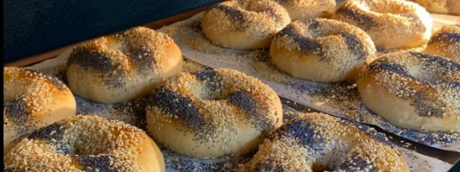 Growing The Bagel Place