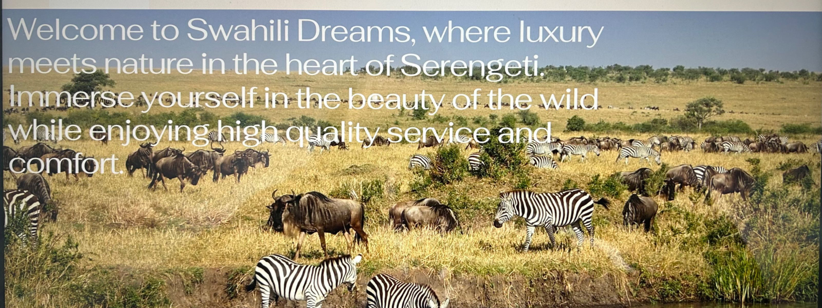 Swahili Dreams
