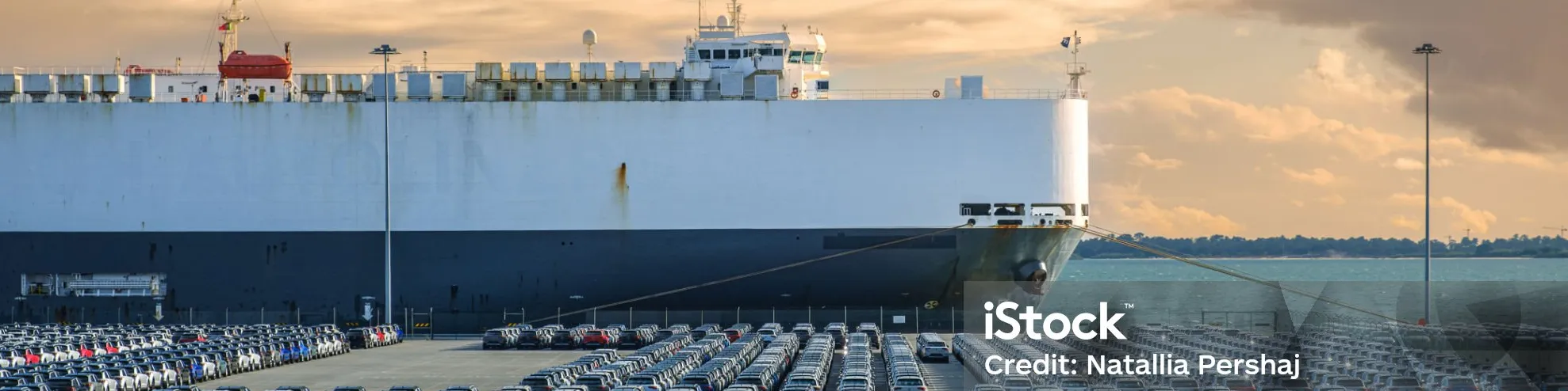 Scaling Plan Car Imports