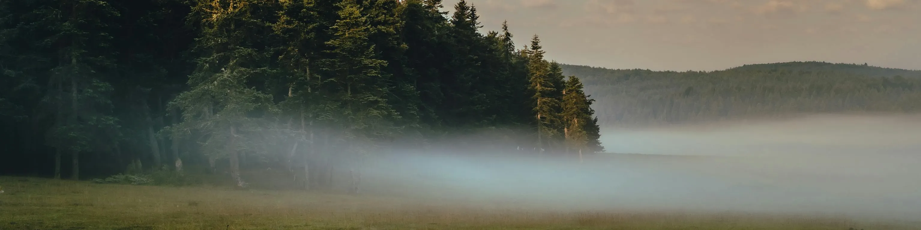 Hongkong Chinese Test one